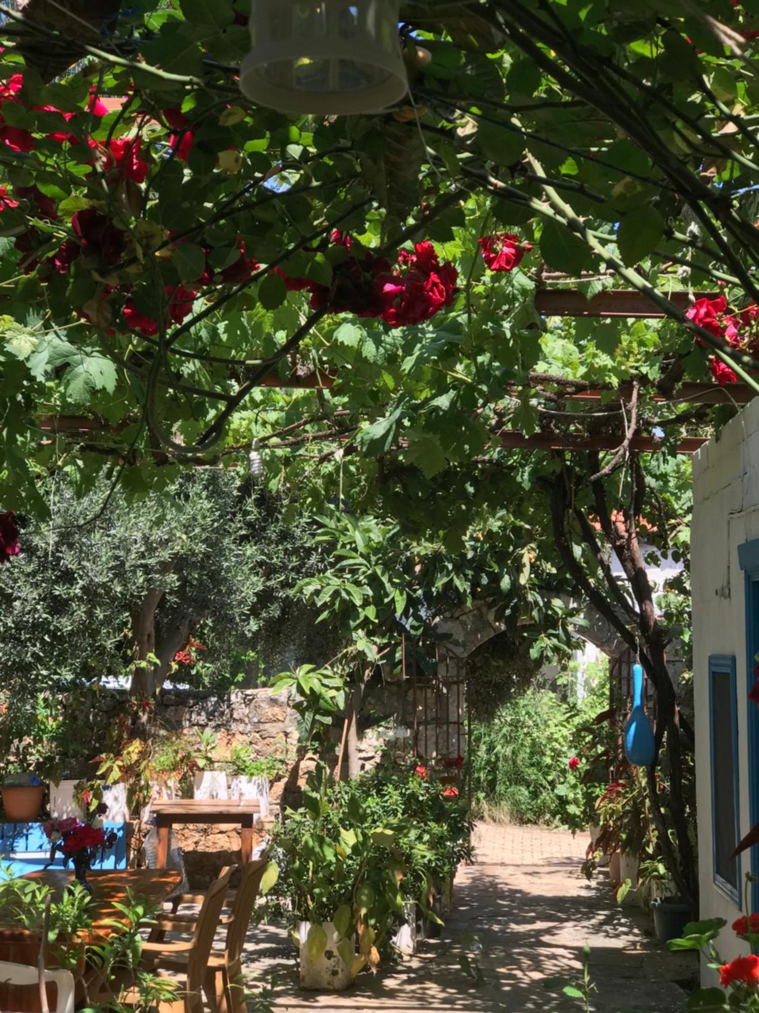 Kaleucagız Likya Pansiyon מראה חיצוני תמונה
