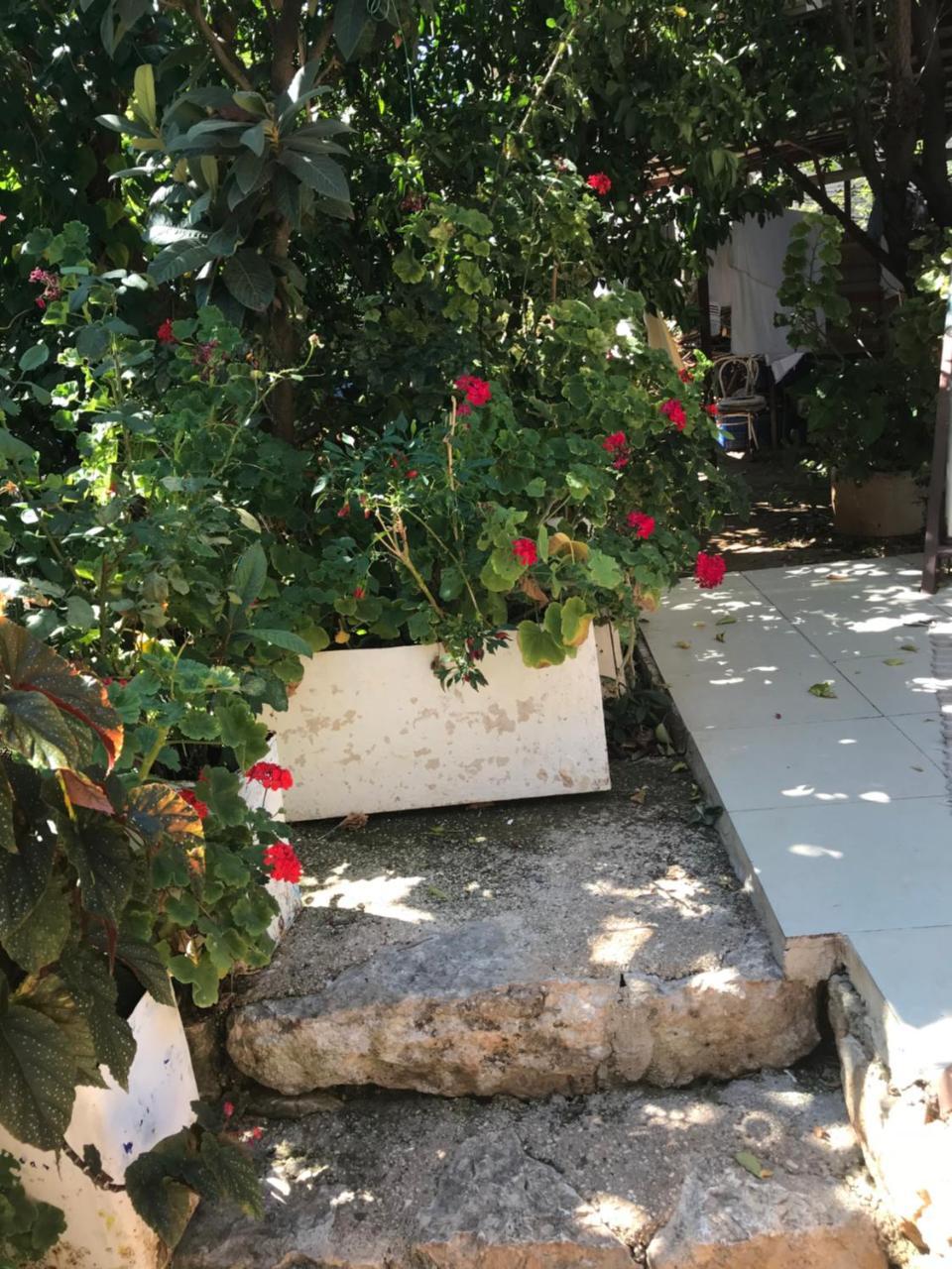 Kaleucagız Likya Pansiyon מראה חיצוני תמונה